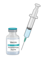 Vaccin Vaccin