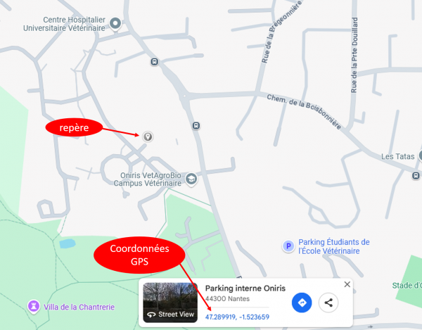 Maps-GPS